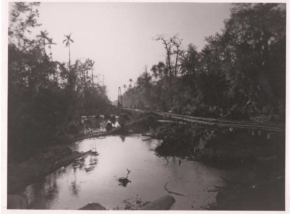 History of Logging at Fakahatchee Florida State Parks